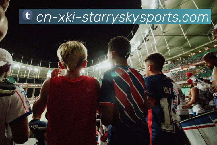 星空体育APP 封面图